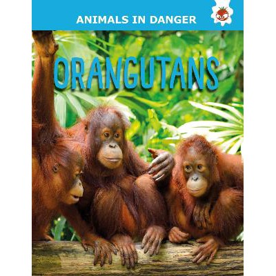 Orangutans: Animals In Danger-Books-Hungry Tomato Ltd-Yes Bebe