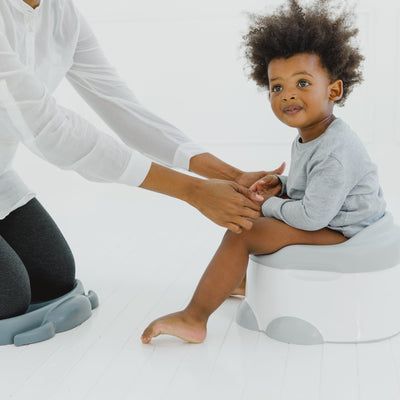 Step 'n Potty 3-in-1 Potty Training Solution