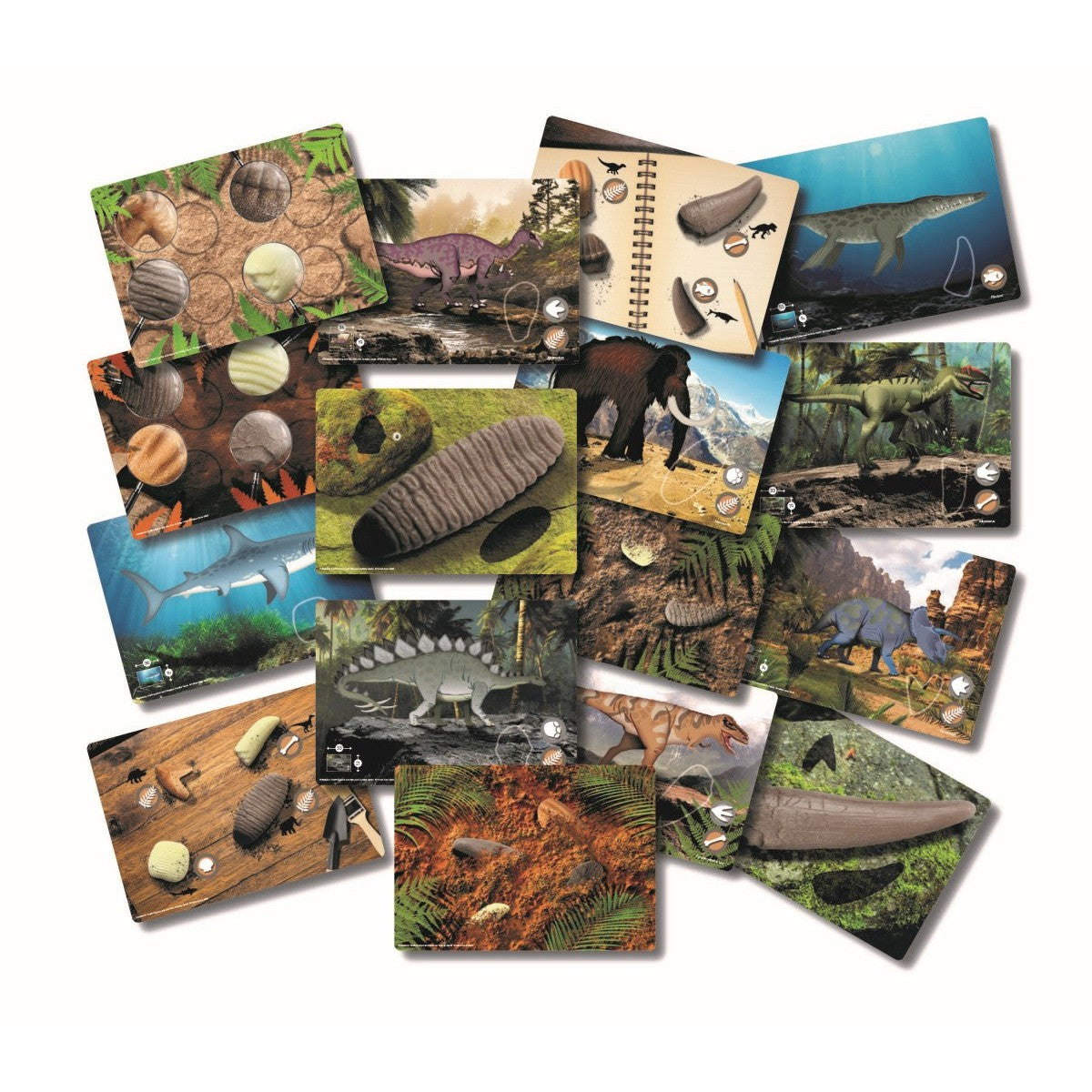 Prehistoric Teeth and Activity Cards-Toy & Book Bundles-Yes Bebe Bundles-Yes Bebe