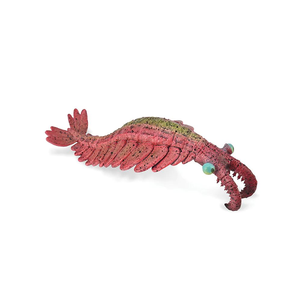 Anomalocaris Dinosaur Toy Figure