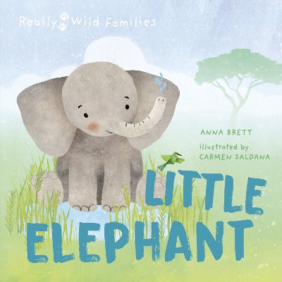Little Elephant: A Day in the Life of a Elephant Calf-Books-words & pictures-Yes Bebe