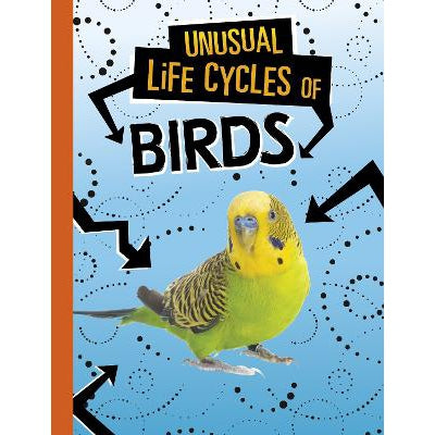 Unusual Life Cycles of Birds-Books-Raintree-Yes Bebe