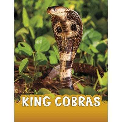King Cobras-Books-Raintree-Yes Bebe