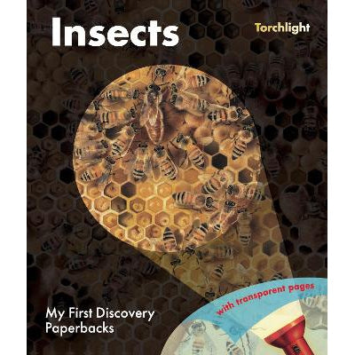 Insects-Books-Moonlight Publishing Ltd-Yes Bebe