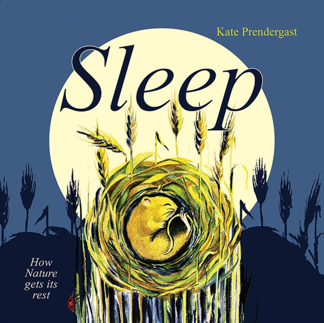 Sleep - Kate Predergast-Books-Old Barn Books-Yes Bebe