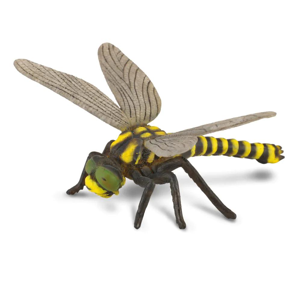 Goldenringed Dragonfly - Hand-Painted Animal Figure