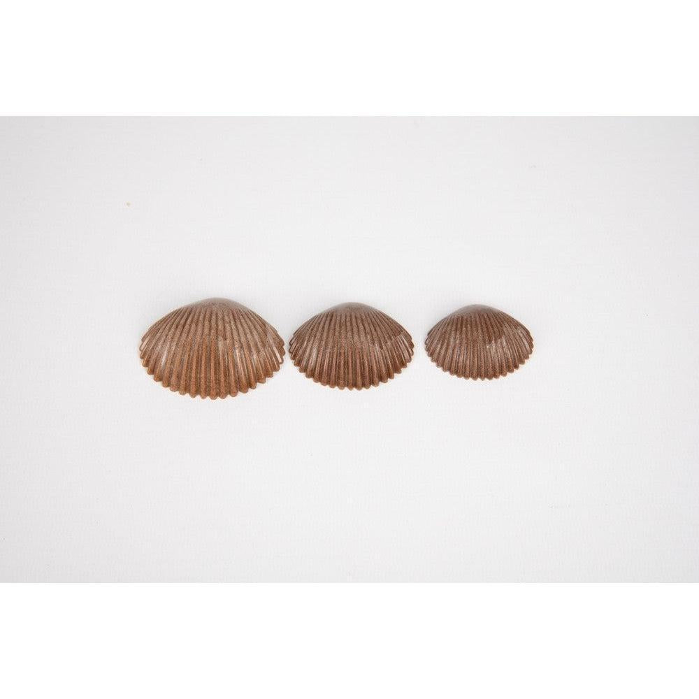 Eco Friendly Tactile Shells - Pack of 36