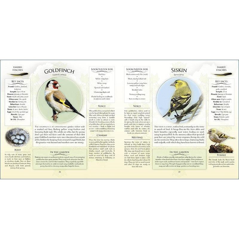 Whats That Garden Bird: Birdspotting Wheel And Guide Book - Caz Buckingham & Andrea Pinnington