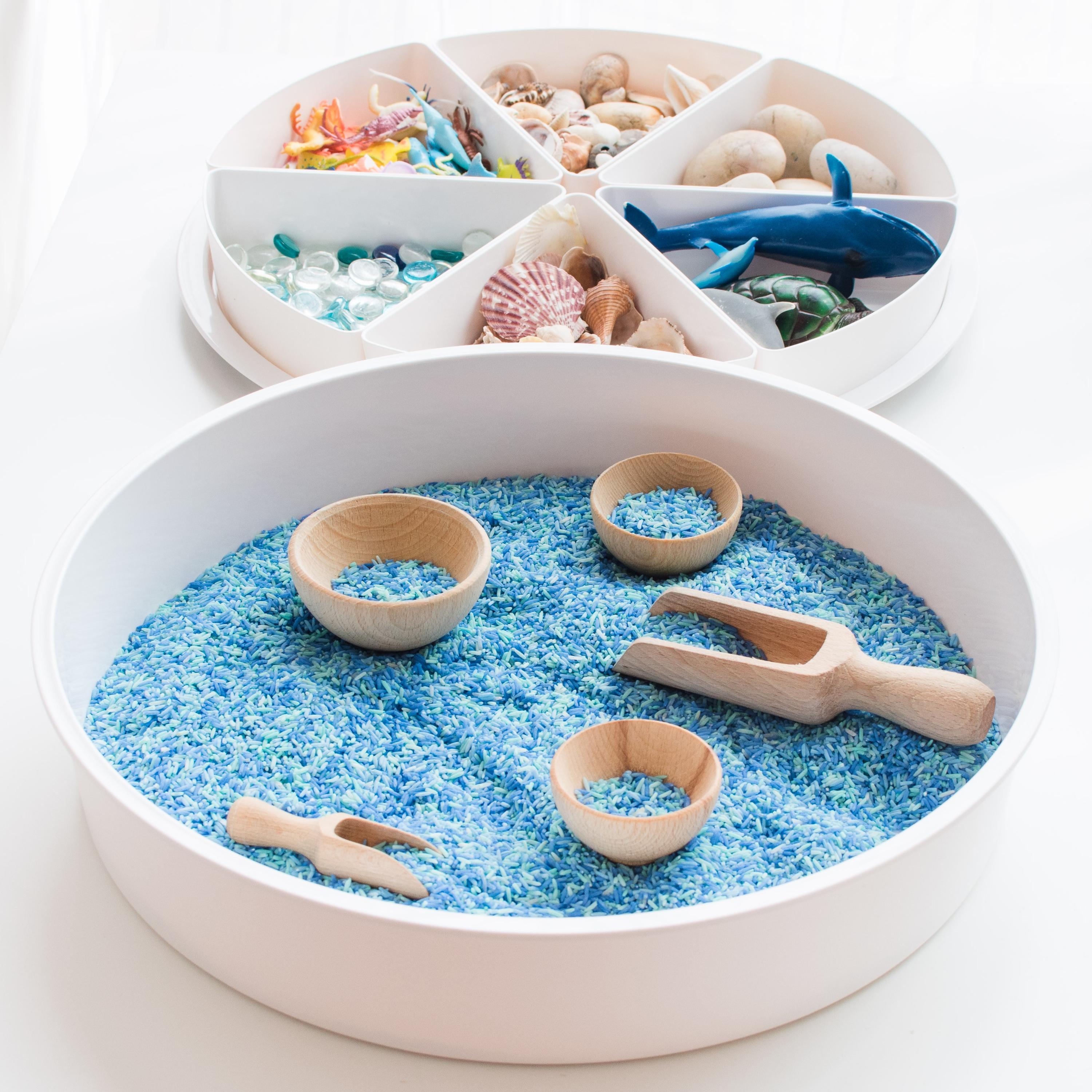 InspireMyPlay PlayTRAY - Tuff Tray with Lid & 6 Storage Inserts