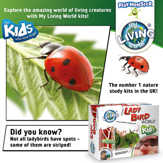 My Living World Ladybird World Explorer Activity Kit