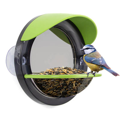 Window Bird Feeder-Science & Exploration Sets-My Living World-Yes Bebe