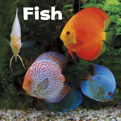 Fish (Our Pets) - Lisa J. Amstutz