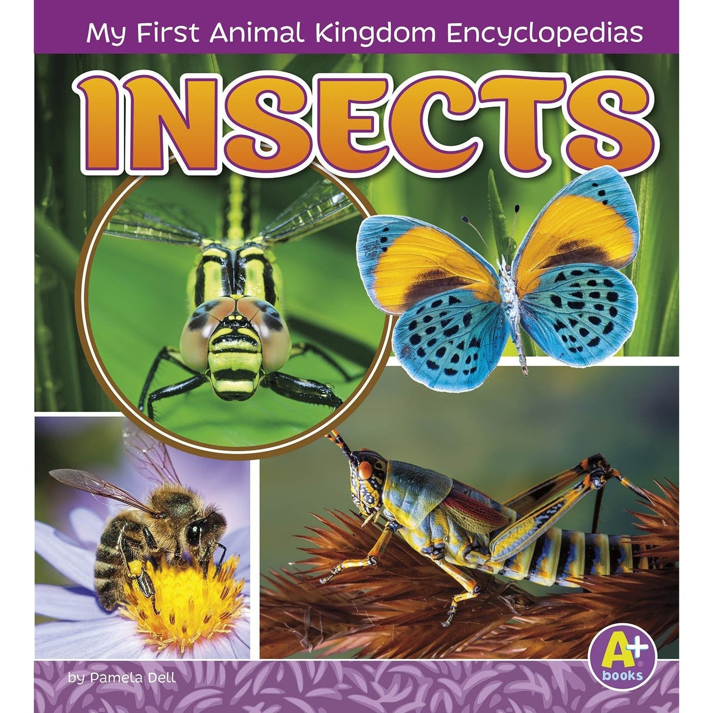 Insects (Animal Kingdom) - Janet Riehecky