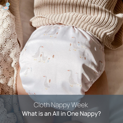 What is an All In One Cloth Nappy and How do I use them?