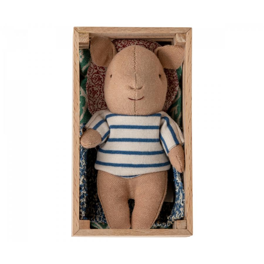 Baby Boy Pig in Box