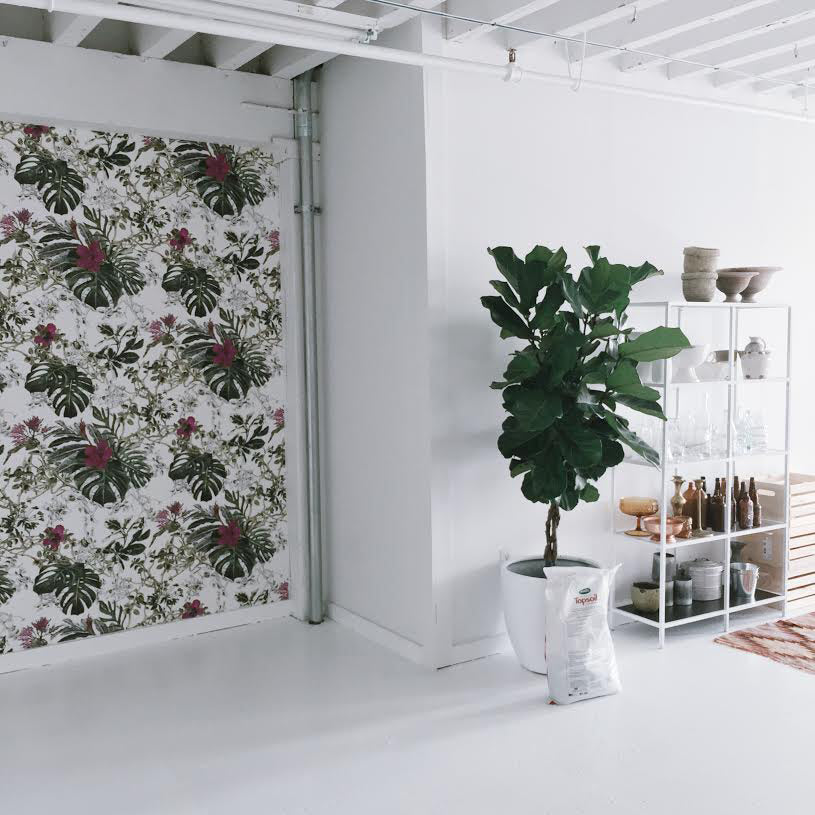 Classic Seasons Wallpaper Summer Tropical Bloom-Wallpaper-Sian Zeng-Yes Bebe