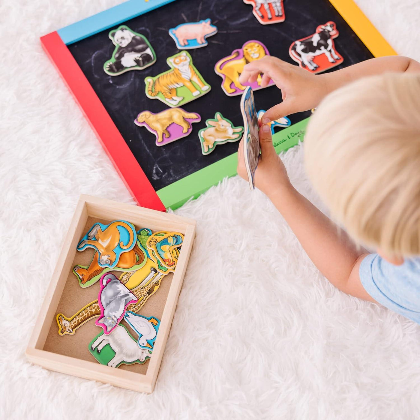 Wooden Animal Magnets