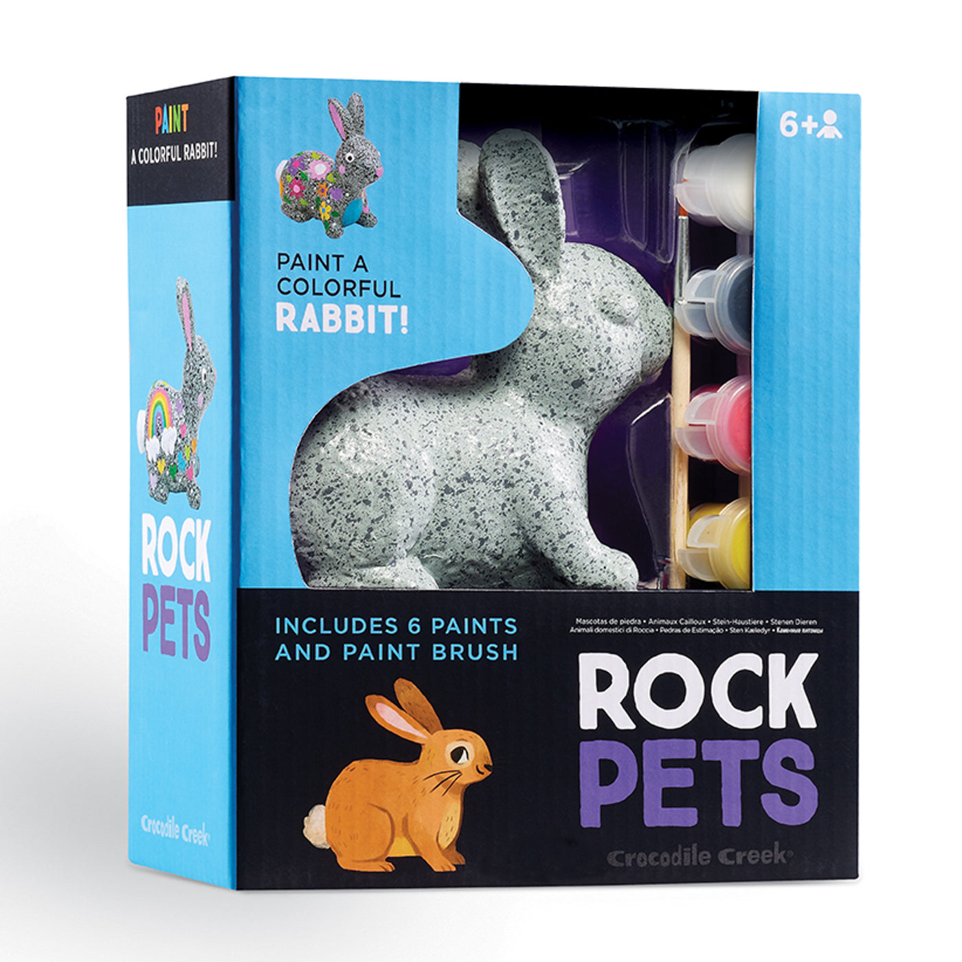 Rock Pets Painting Set