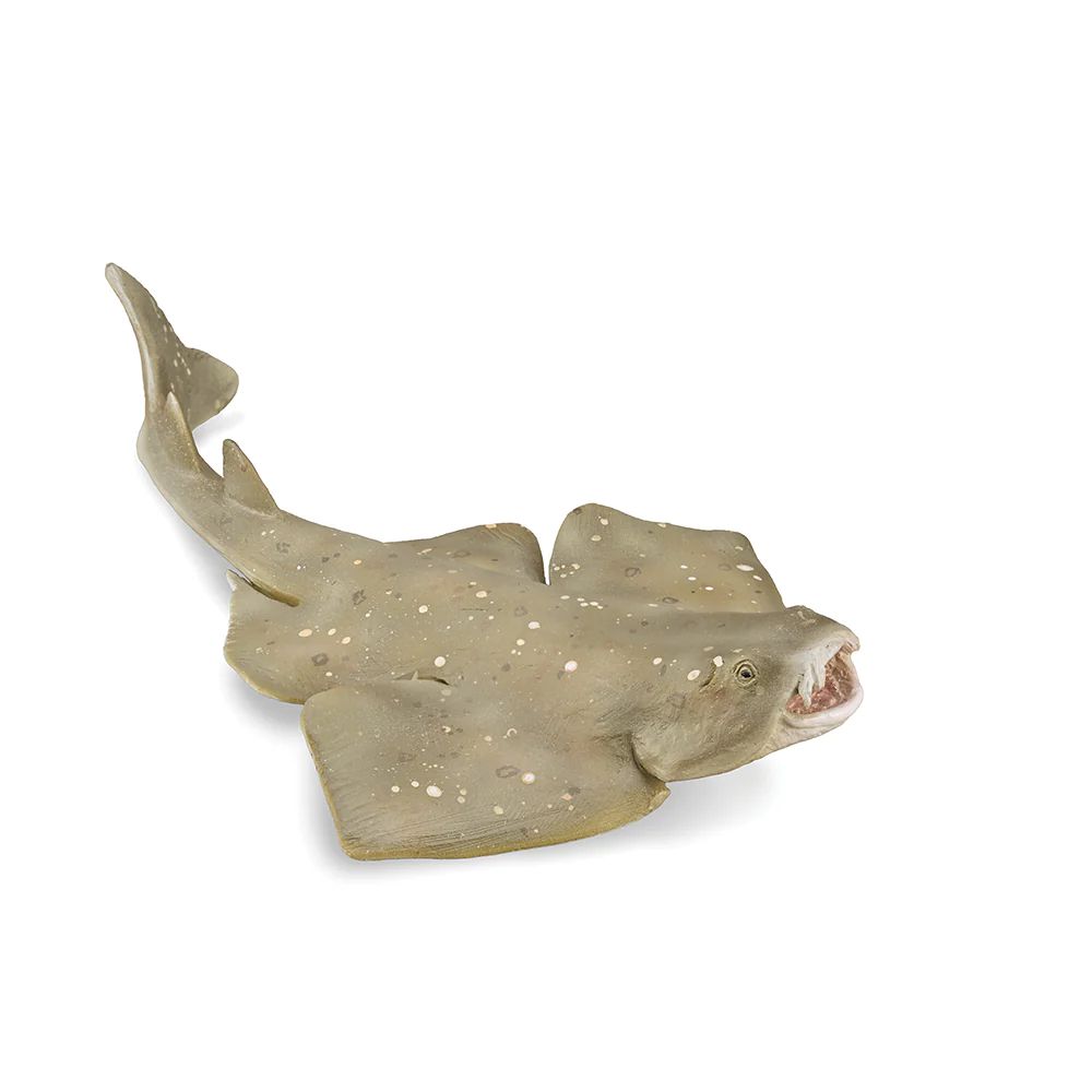 Angel Shark - Hand-Painted Animal Figure