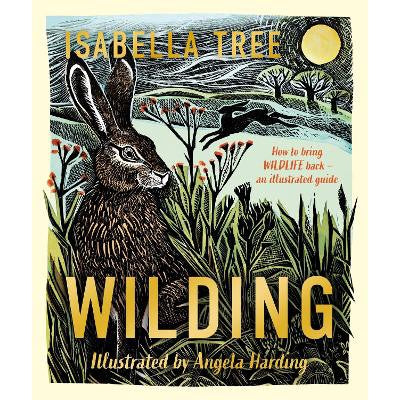 Wilding: How to Bring Wildlife Back - An Illustrated Guide-Books-Macmillan Children's Books-Yes Bebe