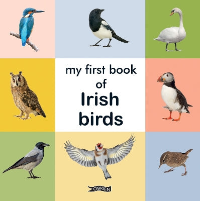 My First Book of Irish Birds-Books-O'Brien Press Ltd-Yes Bebe