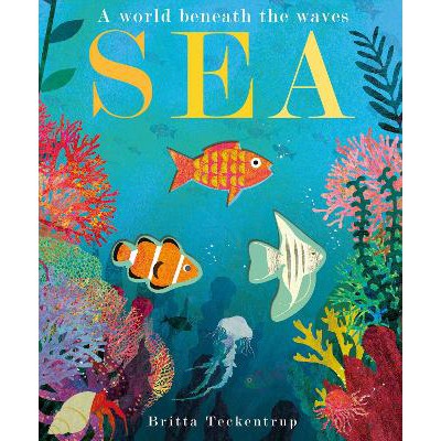 Sea: A World Beneath the Waves