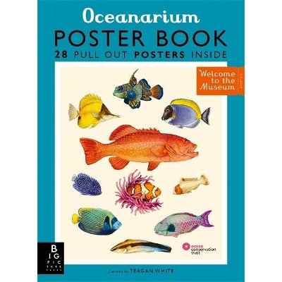Oceanarium Poster Book-Books-Big Picture Press-Yes Bebe
