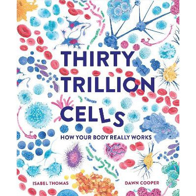 Thirty Trillion Cells: How Your Body Really Works