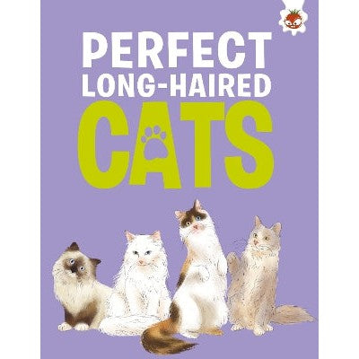 Perfect Long-Haired Cats