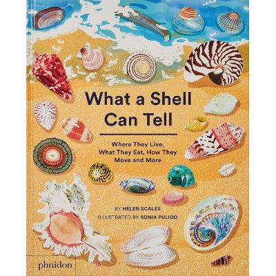 What A Shell Can Tell-Books-Phaidon Press Ltd-Yes Bebe