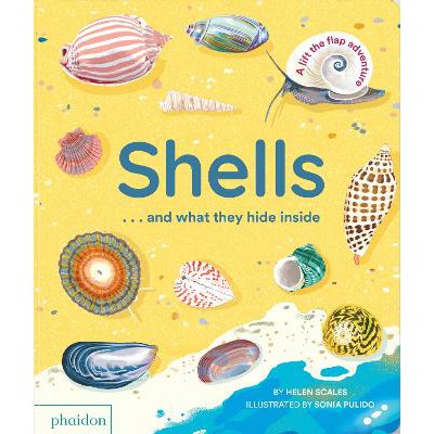 Shells... and what they hide inside: A Lift-the-Flap Adventure