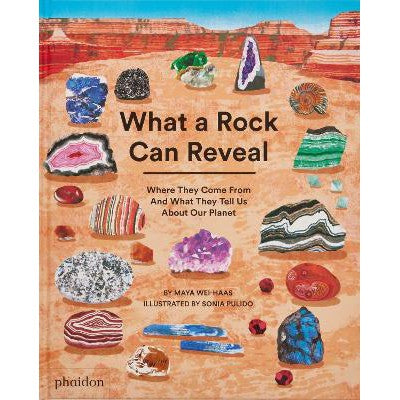 What a Rock Can Reveal: Where They Come From And What They Tell Us About Our Planet