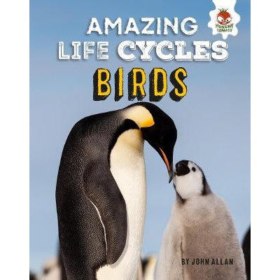 Birds - Amazing Life Cycles-Books-Hungry Tomato Ltd-Yes Bebe