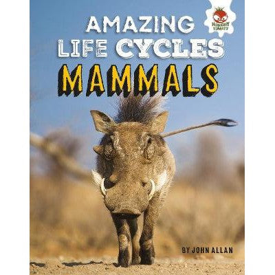 Mammals - Amazing Life Cycles-Books-Hungry Tomato Ltd-Yes Bebe