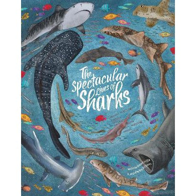 Spectacular Lives of Sharks-Books-Beetle Books-Yes Bebe