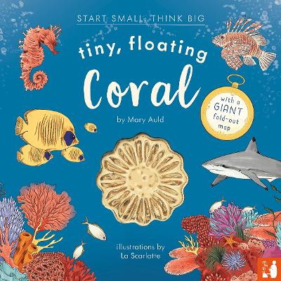 Tiny, Floating Coral: A fact-filled picture book about the life cycle of coral, with fold-out map of the world’s coral reefs (ages 4-8)