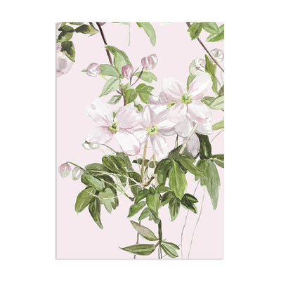 Classic Clematis Mural Wallpaper - Pink