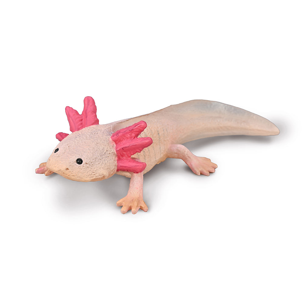 Axolotl-Animal Figures-CollectA-Yes Bebe