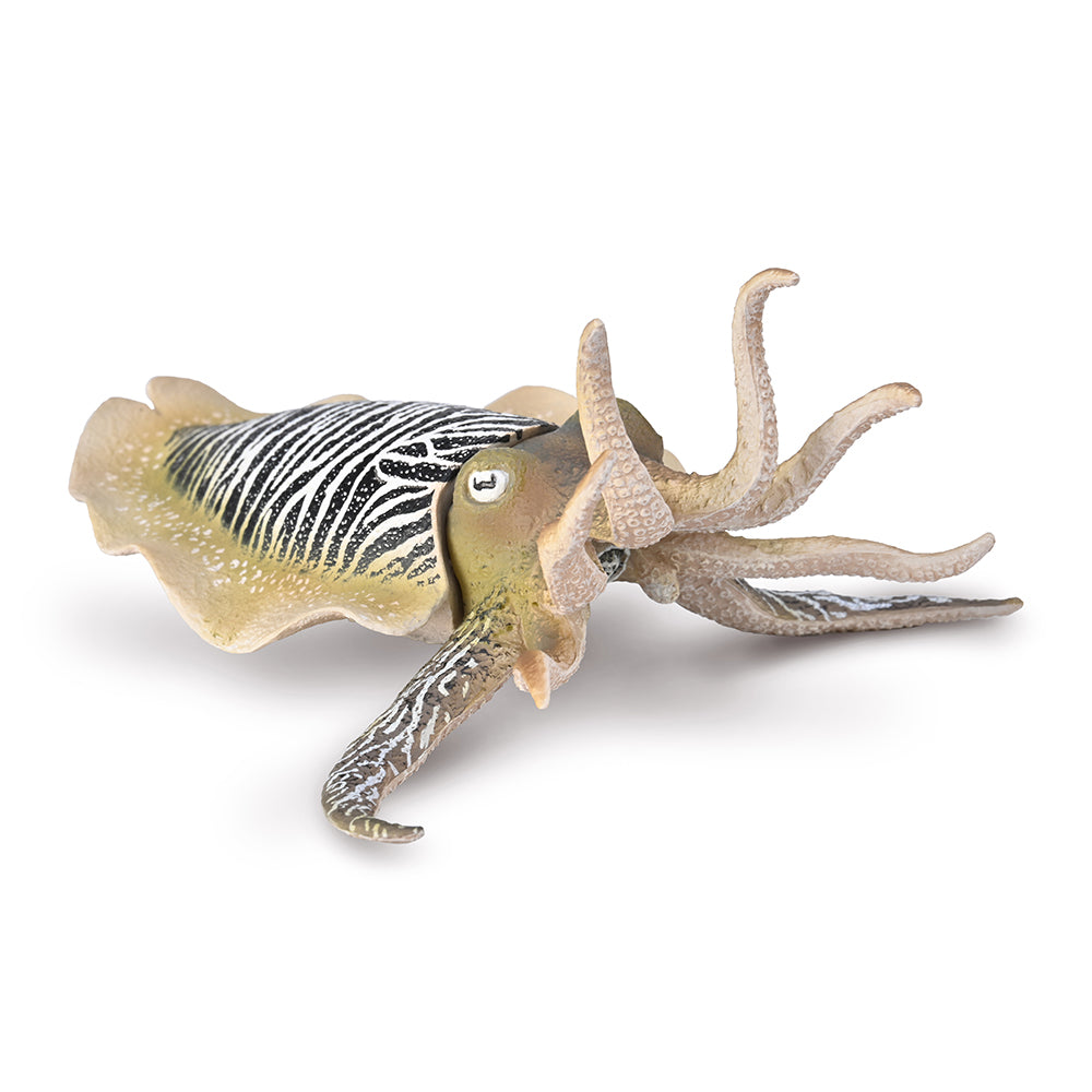 Common Cuttlefish-Animal Figures-CollectA-Yes Bebe