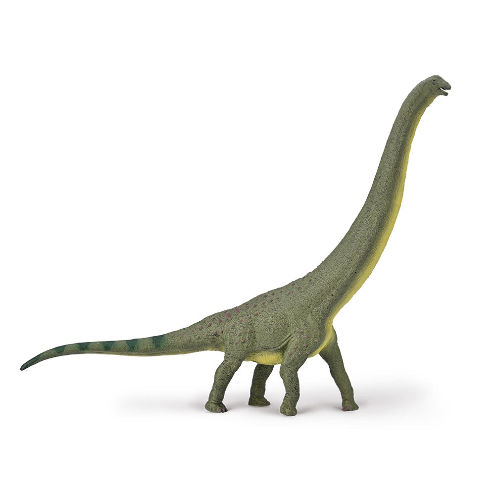 Dreadnoughtus (Deluxe 1:100 Scale)-CollectA-Yes Bebe