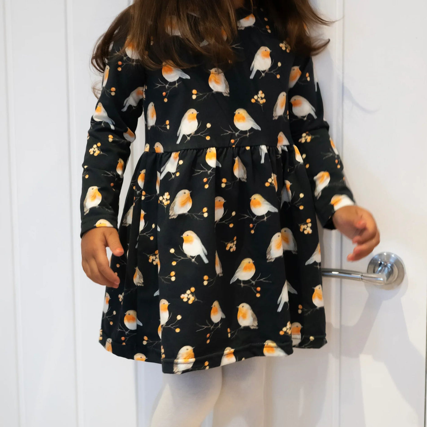 Robin Print Long Sleeve Dress