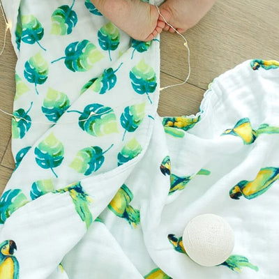 Organic Snug Blanket - Parrots