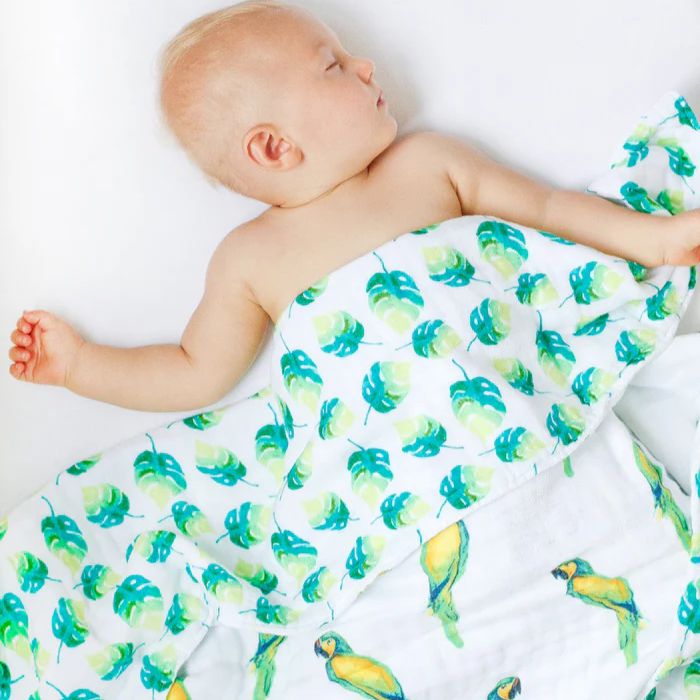 Organic Snug Blanket - Parrots