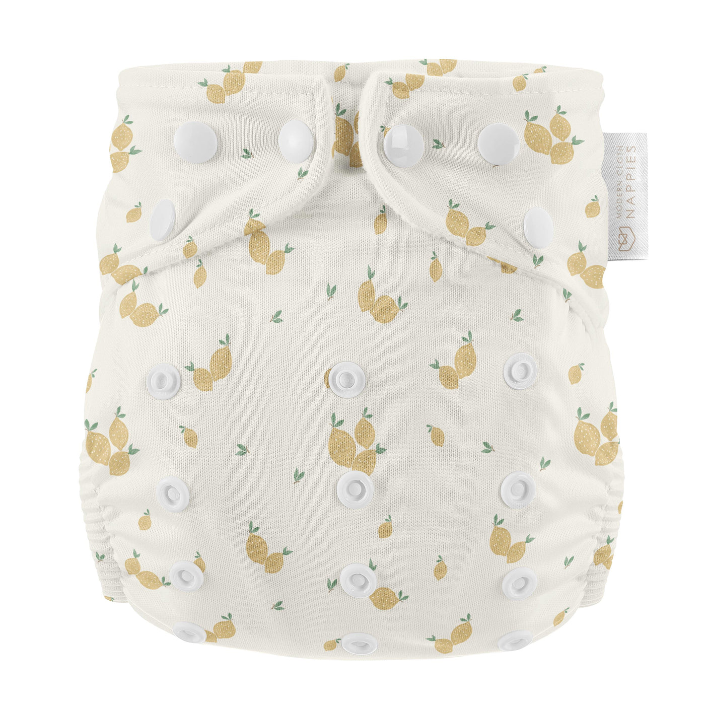 Plus Size Reusable Swim Nappies-Modern Cloth Nappies-Yes Bebe