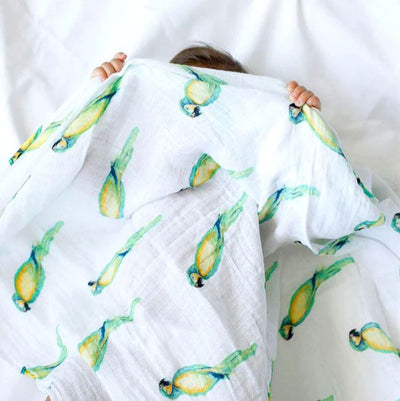 Organic Swaddle - Parrot