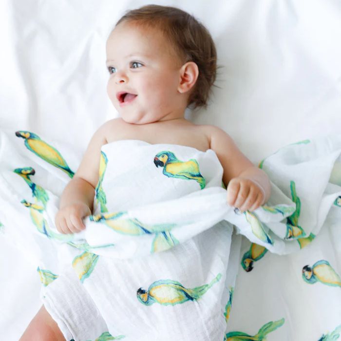 Organic Swaddle - Parrot