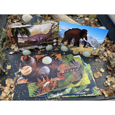 Explore and Discover Activity Cards for Prehistoric Teeth-Sorting Toys-Yellow Door-Yes Bebe