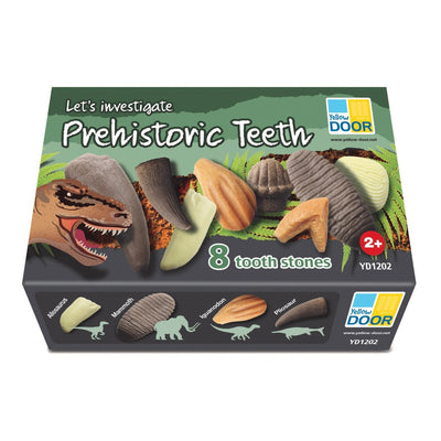 Let's Investigate - Prehistoric Teeth-Sensory Toys-Yellow Door-Yes Bebe