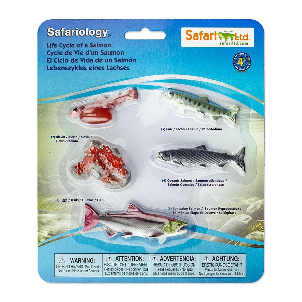 Life Cycle of a Salmon Safariology® Small World Figures