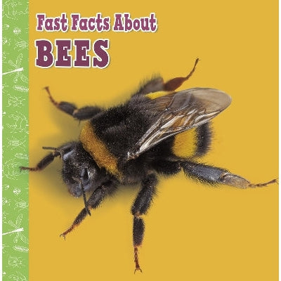 Fast Facts About Bees-Books-Raintree-Yes Bebe